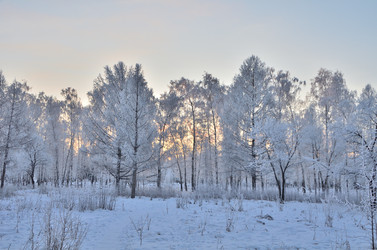 Similar image 21875567