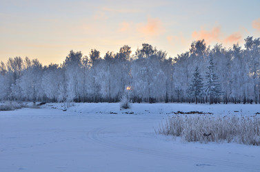 Similar image 21875569