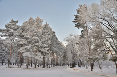 Similar image 21875571