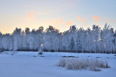 Similar image 21875572