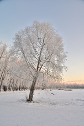 Similar image 21875574