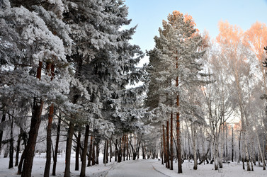 Similar image 21875576