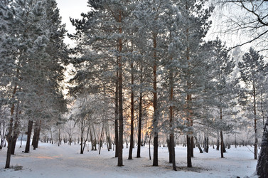 Similar image 21875578