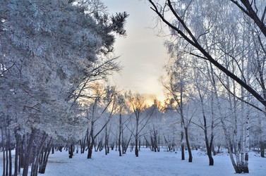 Similar image 21875579