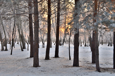 Similar image 21875580