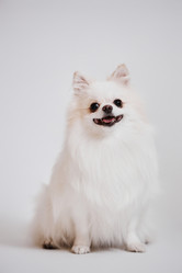 Similar image 21860205