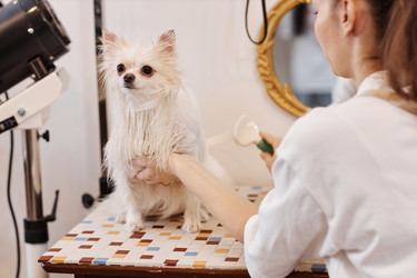 Similar image 21861299