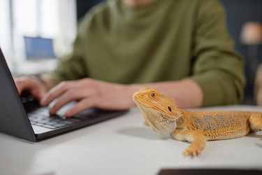 Similar image 21861451