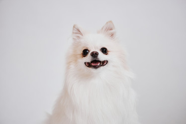 Similar image 21859778