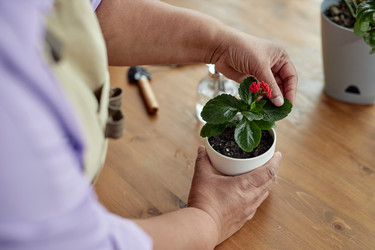 Similar image 21859521