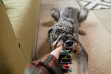 Similar image 21865313