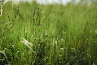 Similar image 21860791