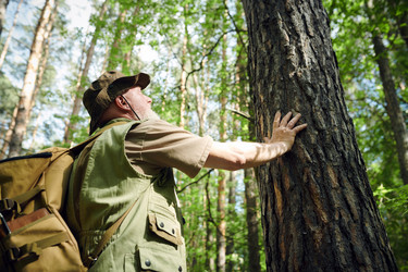 Similar image 21861617