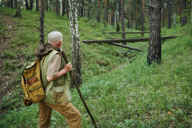 Similar image 21860716