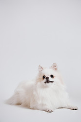 Similar image 21861384