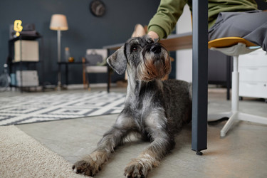 Similar image 21864482