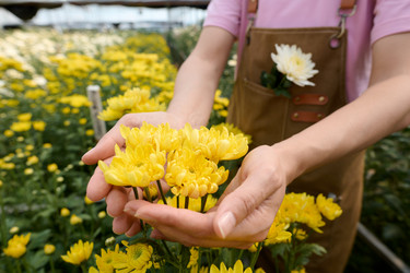 Similar image 21862143