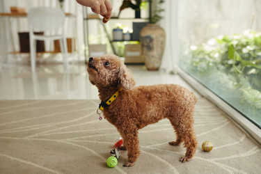 Similar image 21858996