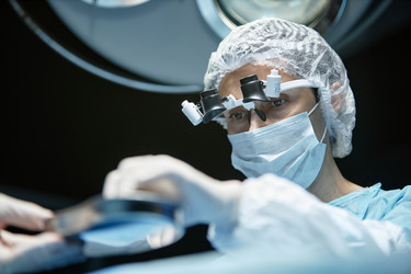 Similar image 21864166