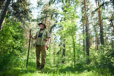 Similar image 21860737