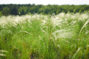 Similar image 21864779