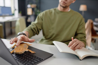 Similar image 21863686