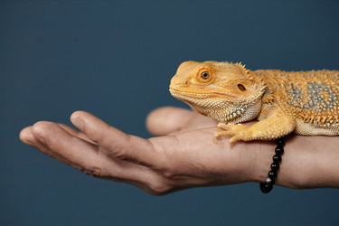 Similar image 21862533