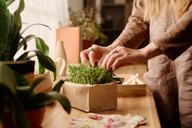 Similar image 21859727