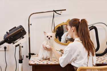 Similar image 21861460