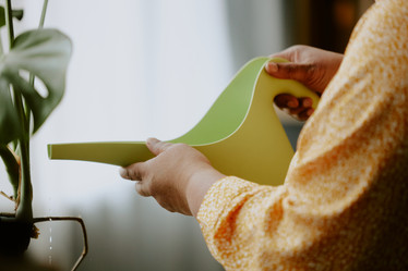 Similar image 21865331