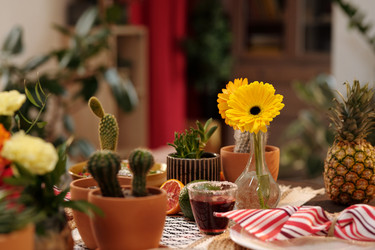 Similar image 21859448