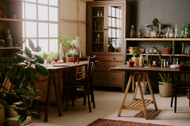 Similar image 21862973