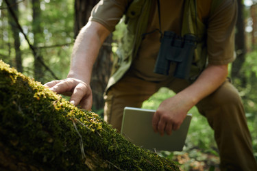 Similar image 21865002