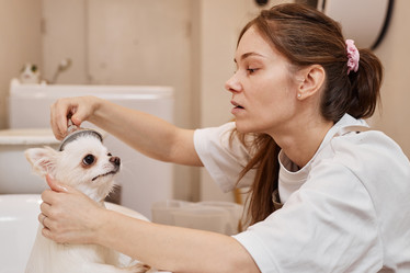 Similar image 21862335