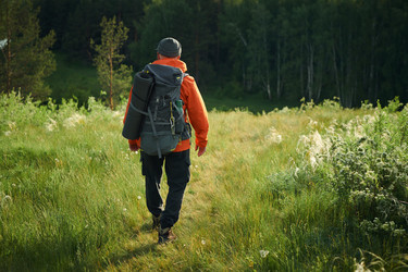 Similar image 21862540