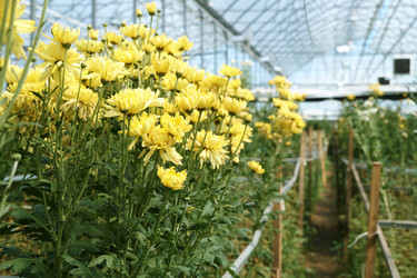 Similar image 21864649