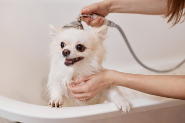 Similar image 21859834