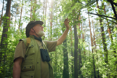 Similar image 21859937