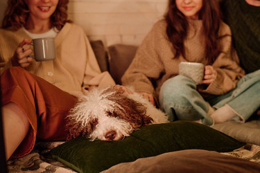 Similar image 21861490