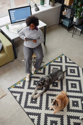 Similar image 21862539