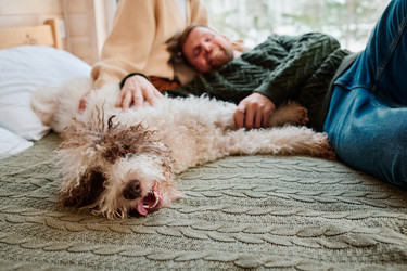 Similar image 21862206