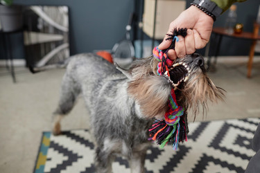 Similar image 21864987