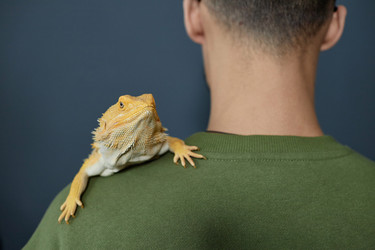 Similar image 21864410