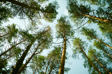 Similar image 21863182