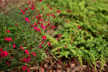 Similar image 21892362