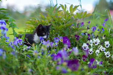 Similar image 21892363