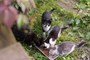 Similar image 21892364