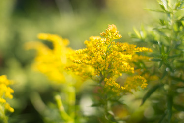 Similar image 21892365