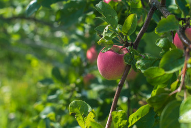 Similar image 21892367