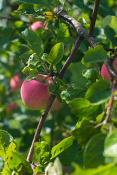 Similar image 21892368